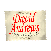 David Andrews Wedding Cars 1061126 Image 7